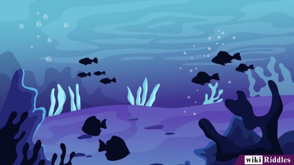 200+ "Sea Riddles" with Answers – Chase The Mystery