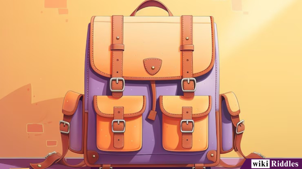 250+ Best "Bag Riddles" to Challenge Your Mind 