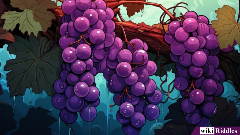 250+ Hilarious and Clever "Grape Riddles" with Answers