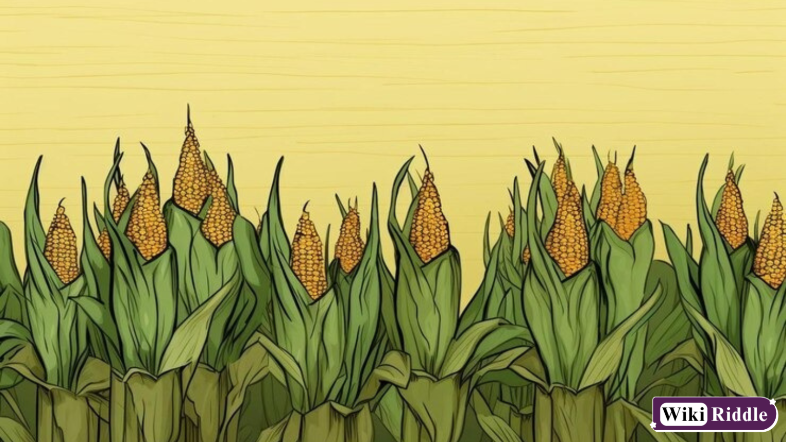 Corn Riddles 250+ Fun